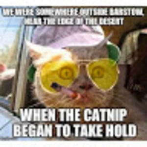 Meet your Posher, Vickie